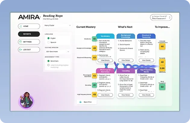 Science of Reading Program Analysis Report