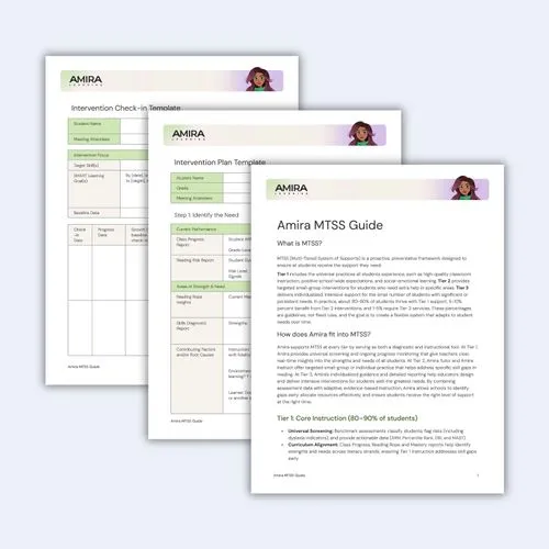 MTSS Guide preview