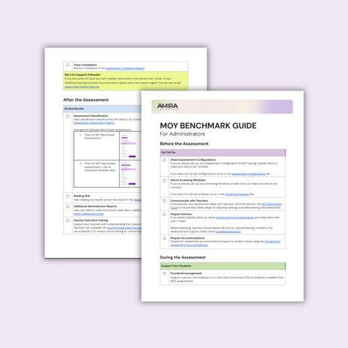 MOY Benchmark Guide preview