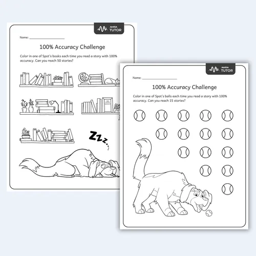 Accuracy Challenge preview